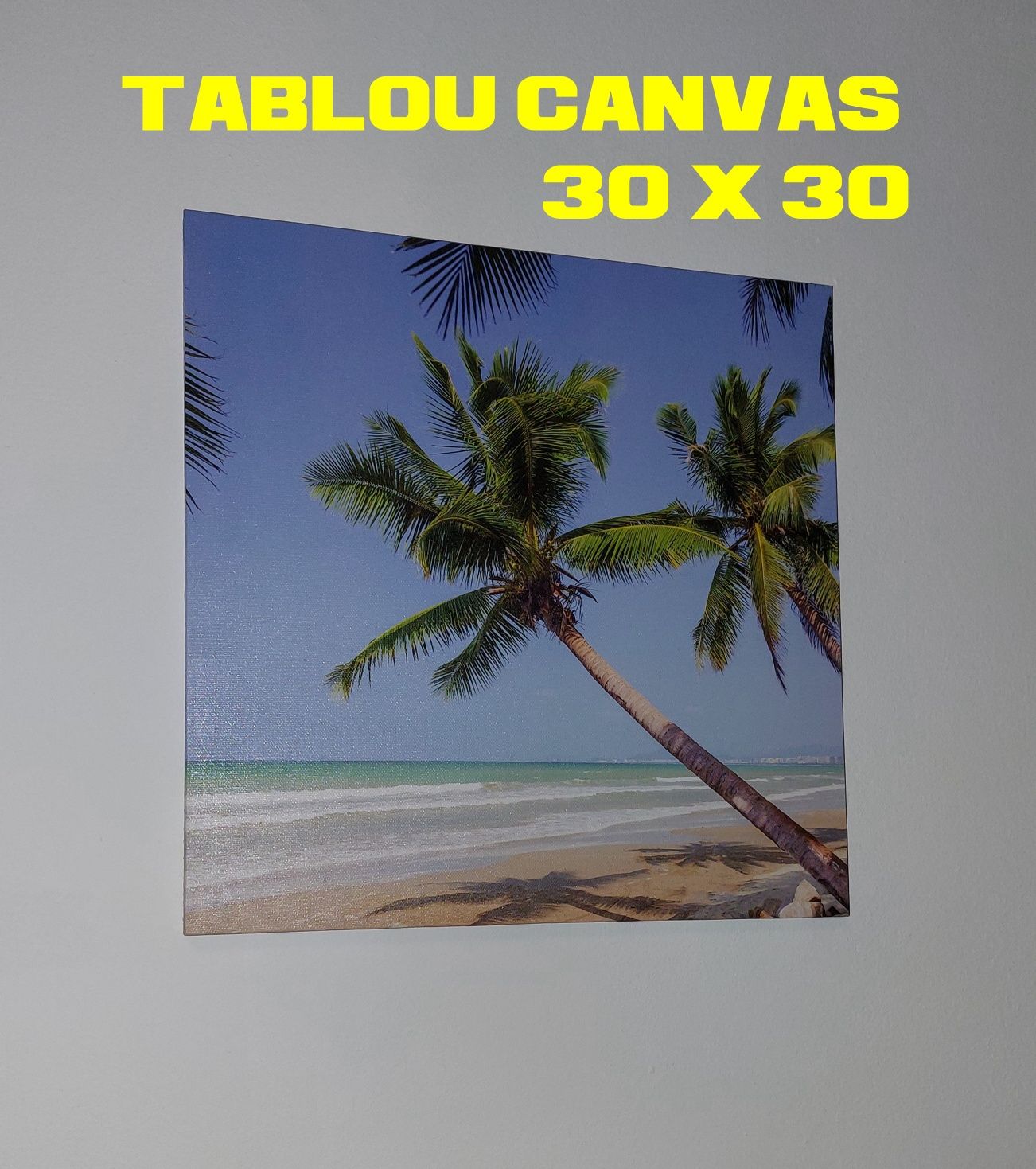 Tablou canvas. 30x30