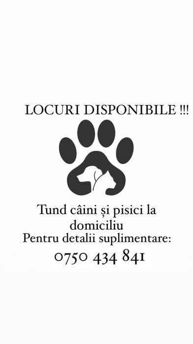 Tund câini și pisici la domiciliu
