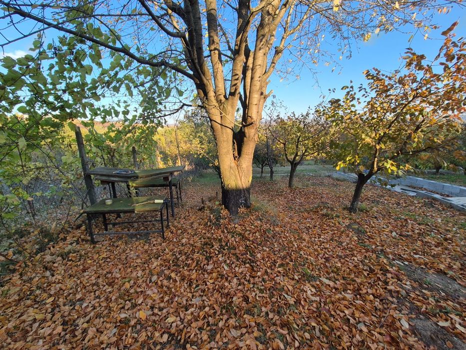 Proprietar,vand vila in Hlincea,170 mp,1500 mp teren,aer curat,liniste