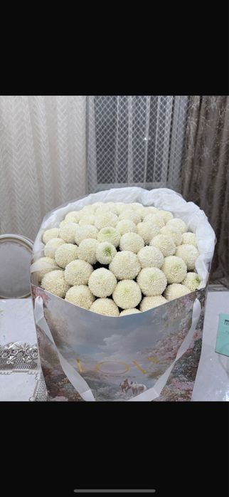 Цветы Момоко Шымкент