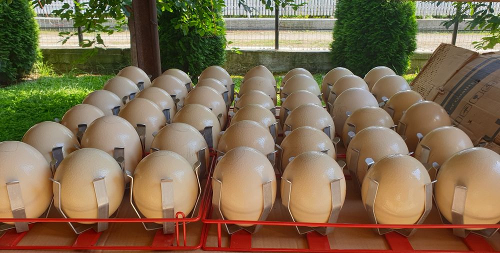 Oua strut pentru consum și oua golite pentru pictat .