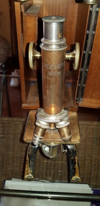 Microscop C.Reichert Wien
