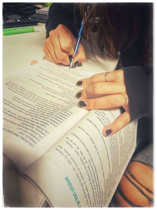 Meditații și ajutor la teme pentru Limba și literatura română