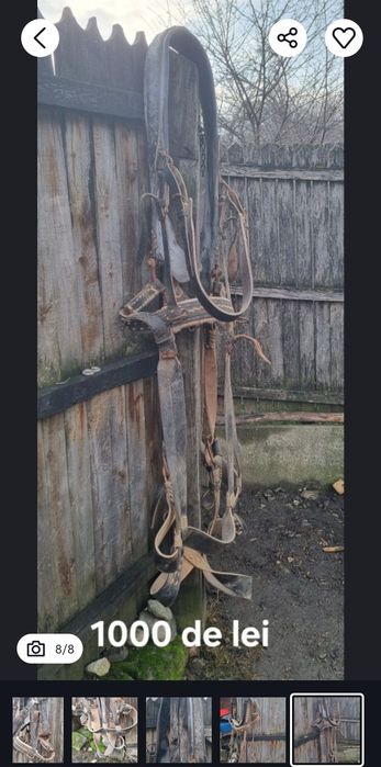 Hamuri cai din piele