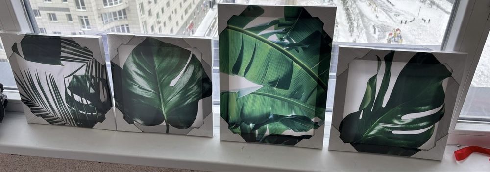 НОВЫЕ Картина постер листья тропики