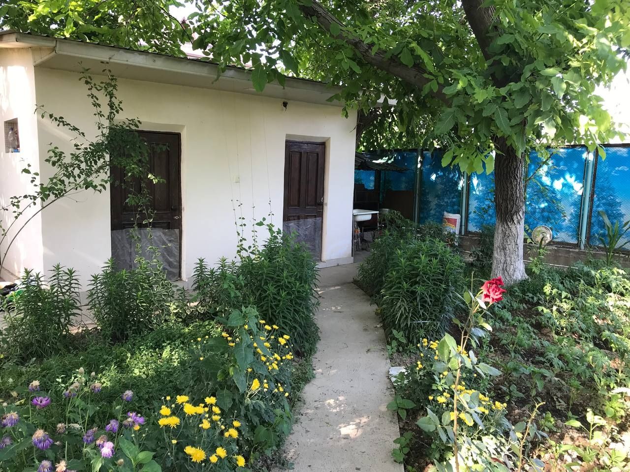 Parkentda oilaviy dacha