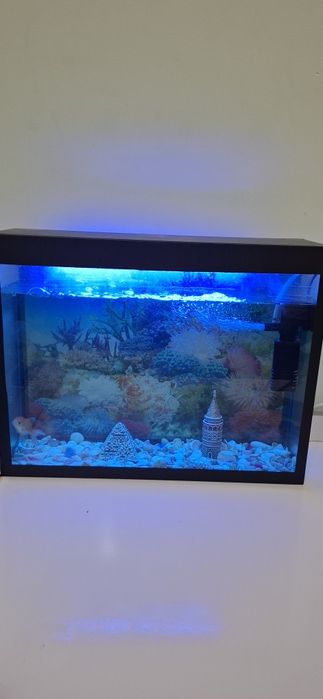 Аквариум комплект