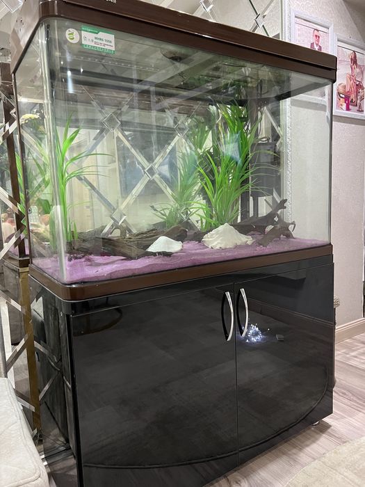 Продаю аквариум