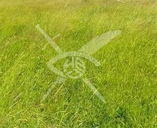 Парцел в Крислово 88761