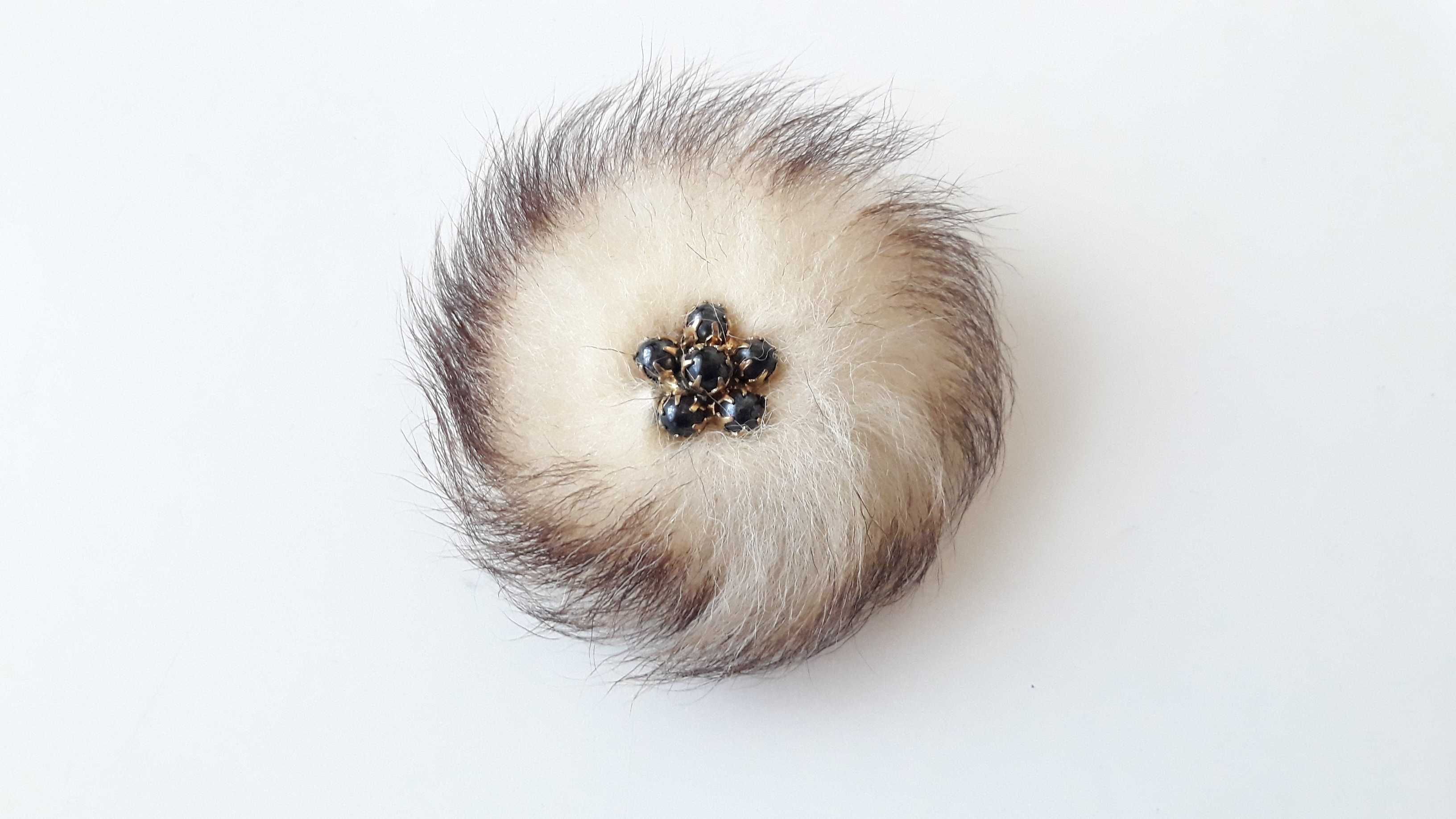 Insigna Accesoriu palarie Vanatoare