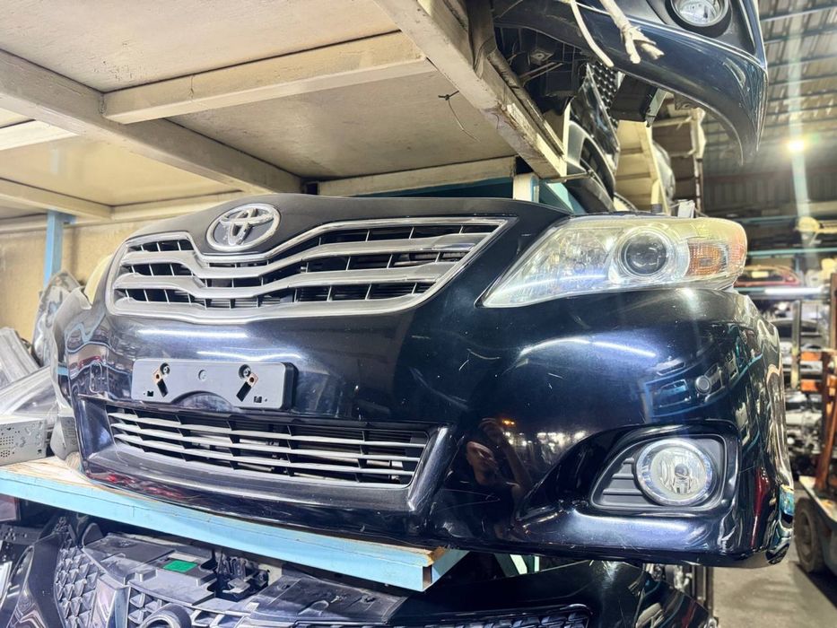 Ноускат мини морда камри 45 американец