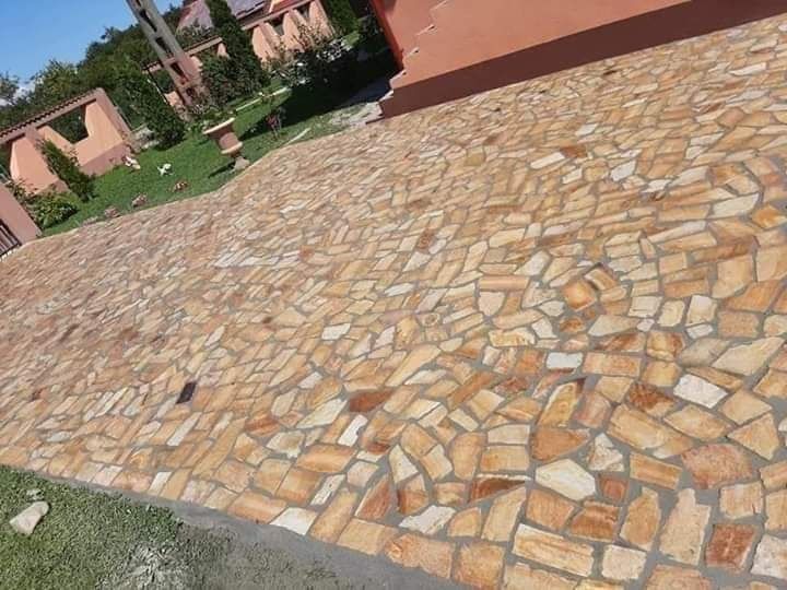 Vând plante ornamentale oriunde în țară execut grătare cascade cu tot