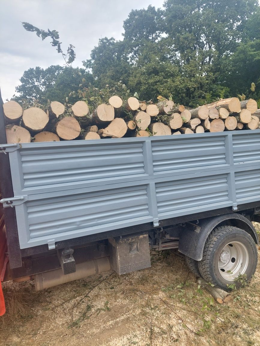 Lemn de foc esenta dorita