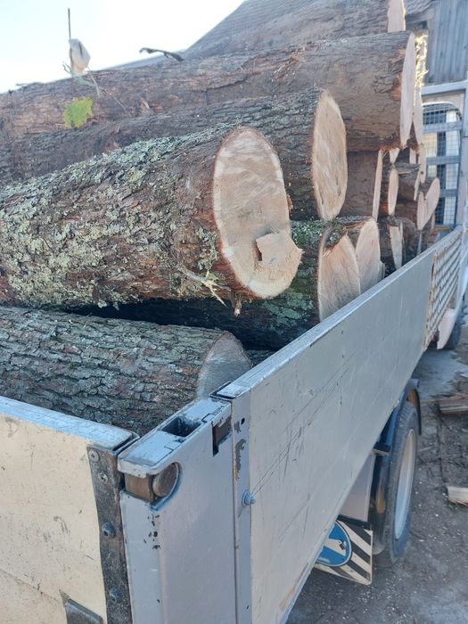 Lemne de foc fag si cer