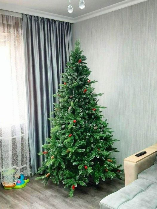 Ёлки акция ёлки доставка бесплатная