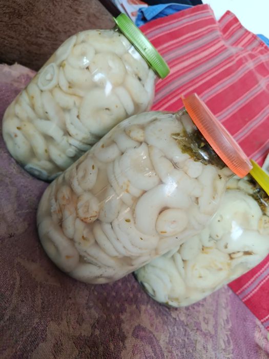 Продам грибы. Есть доставка по городу