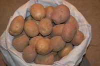 Картошка домашняя, картофель с доставкой
