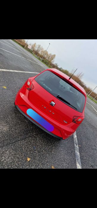 Vand  Seat  Ibiza 2013