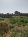 Срочно 8 сотикли ер сотилади мулжал янги Арик дустлик мфй