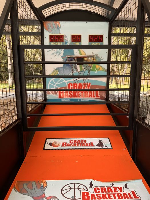 Аркадна игра баскетбол