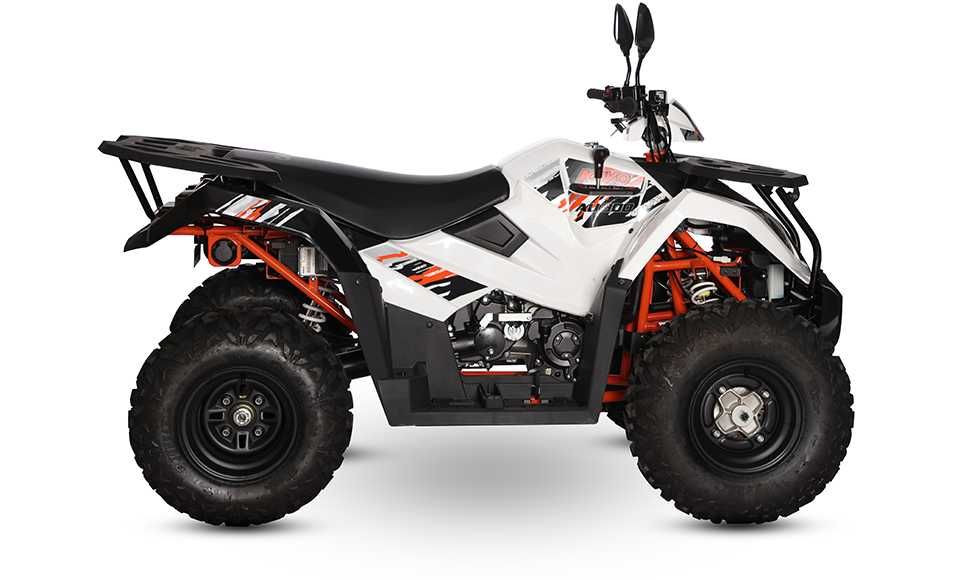 MYMOTO CLUJ VINDE : ATV KAYO AU300 [inmatriculabil T3B] [4T] - NOU