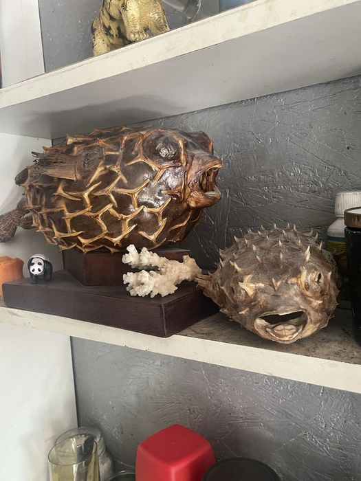 Pesti balon perfecti