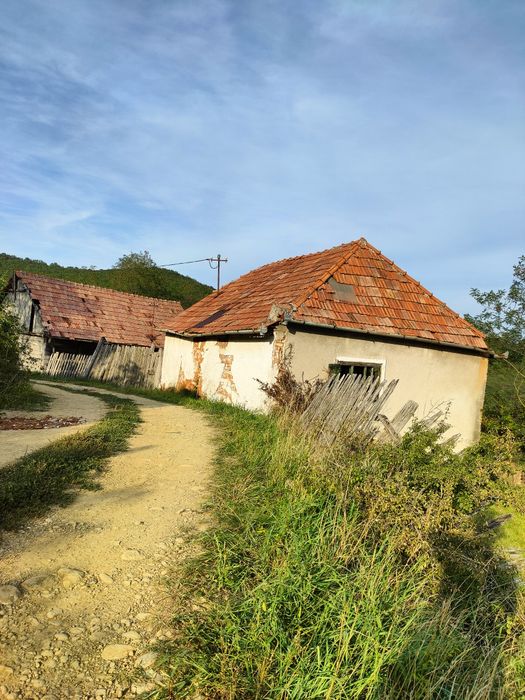 Vând casă și două anexe la Inuri