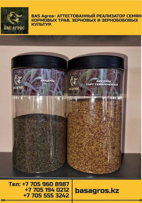 продам семена люцерны и другие кормовые травы