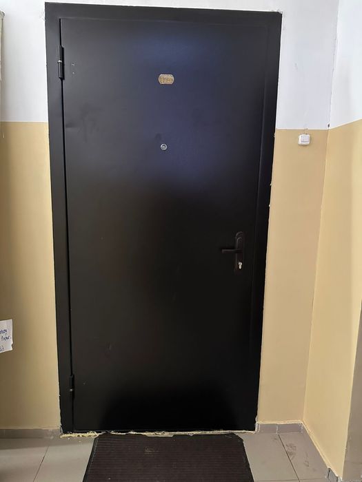 Металлическая дверь