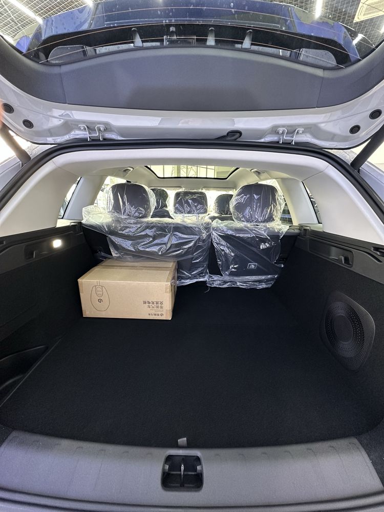 LeapMotor C10 hybrit