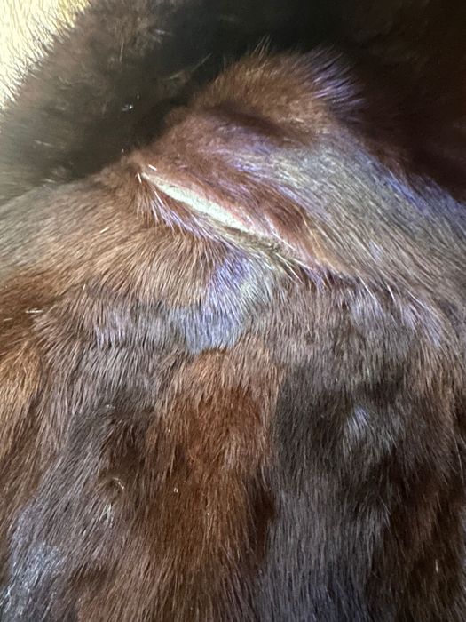 Haina dama din blana naturala nutrie