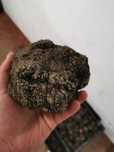 Trufe negre /Tartufi/Truffles