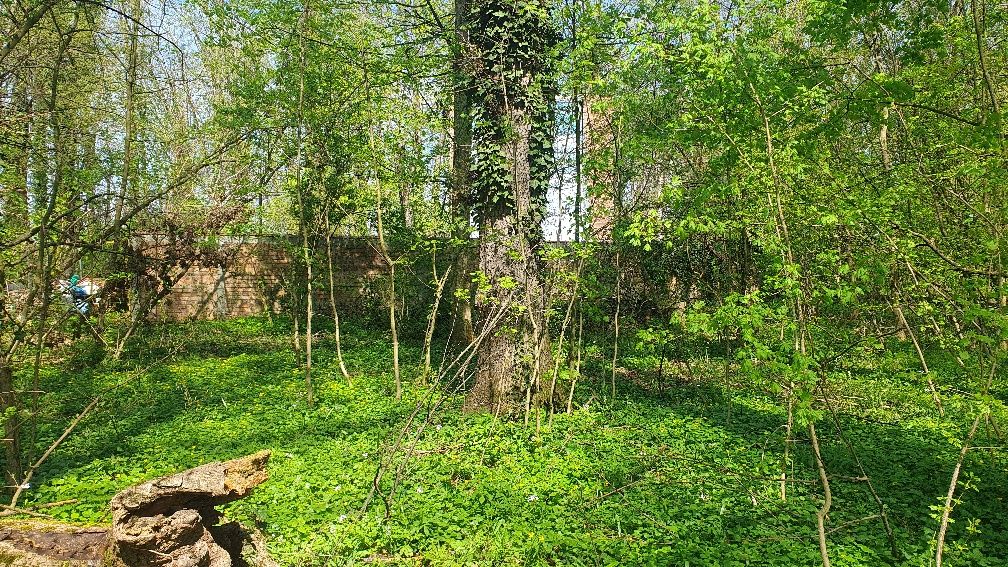 1000mp, Baneasa- Aleea Teisani