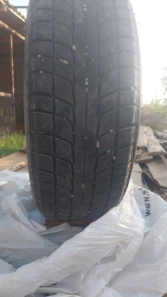 Triangle 215/60 R16 без шипов