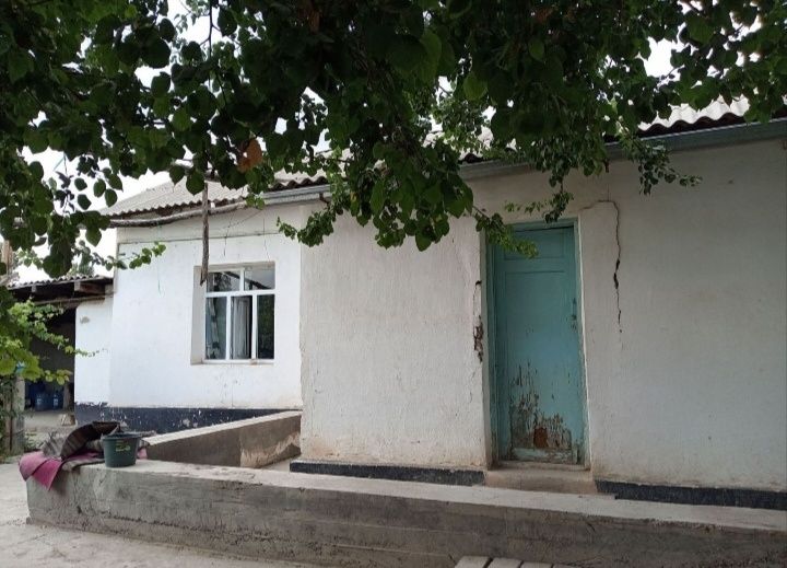 Toshkent viloyati chinoz tumanida uy sotiladi
