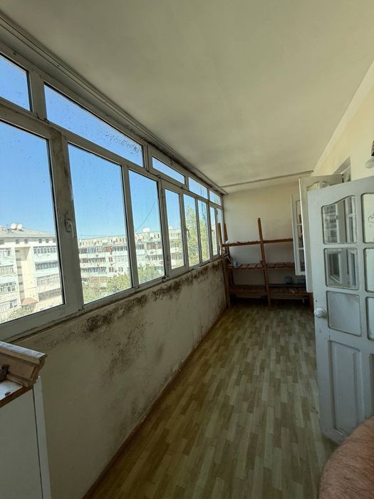 4 хонали сам коч ЖАСМИН