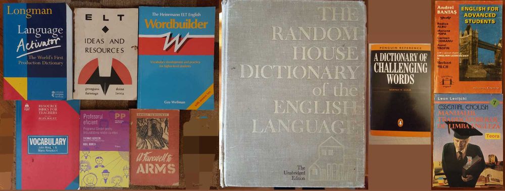 Manuale ENGLEZA/lingvistica/ROMANIAN foreign learners/Guides Romania