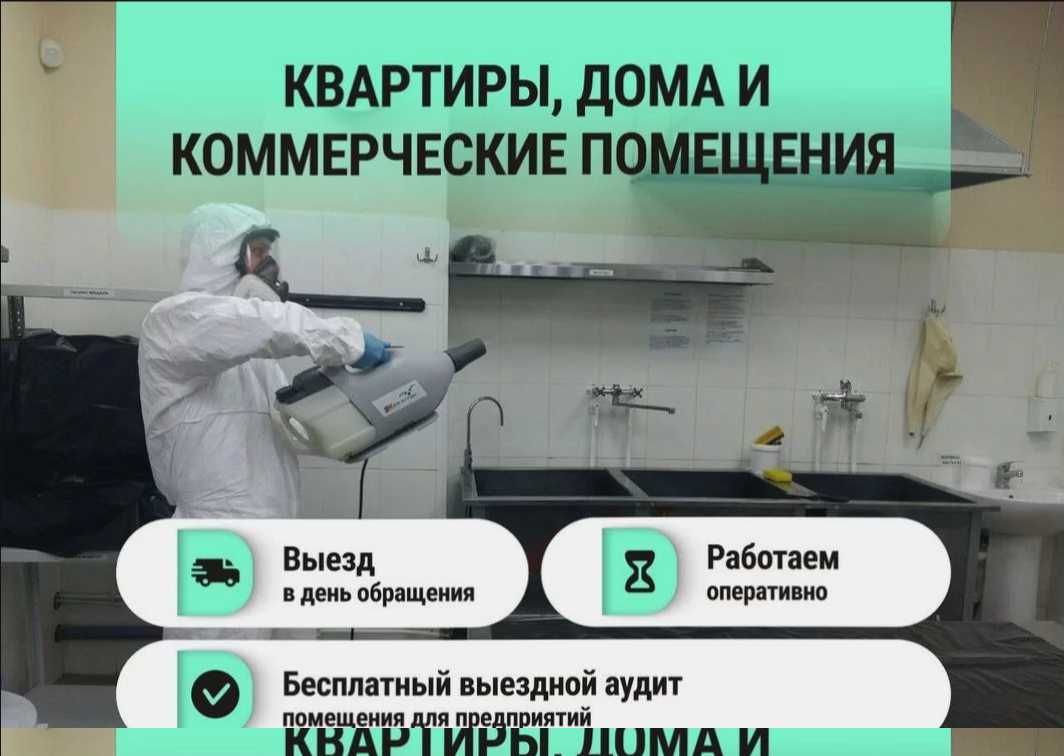 Профессиональная Дизинфекция от Клопов Таракан Dezinfeksiya хизмати