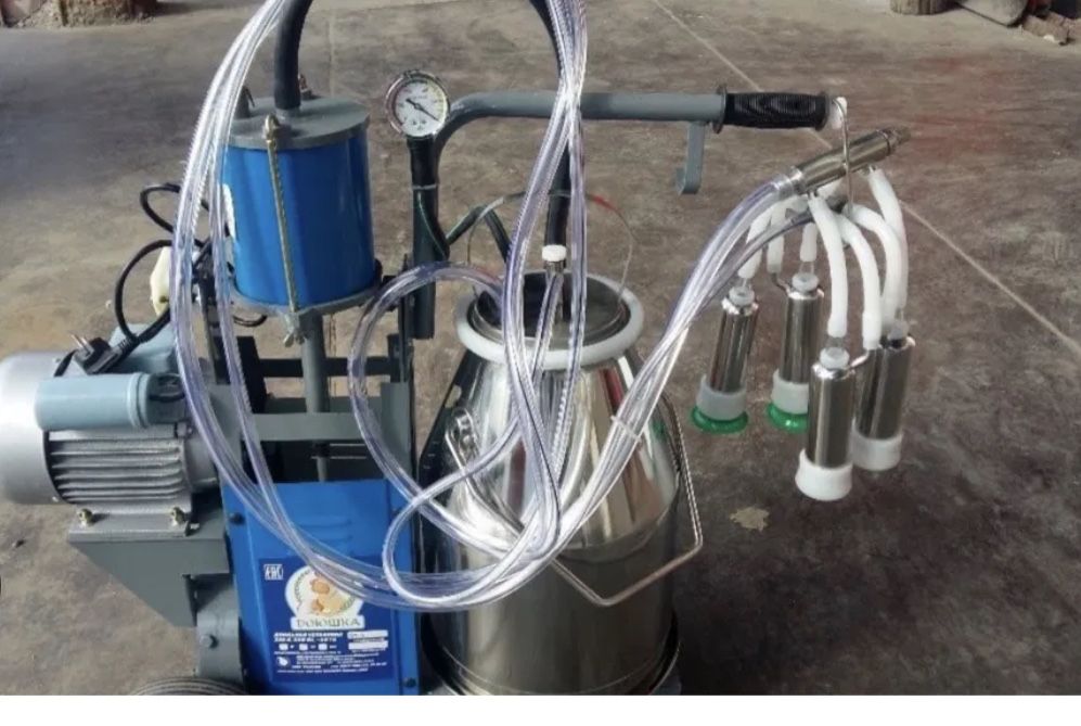 Доильный аппарат Зорька Яссауи абая