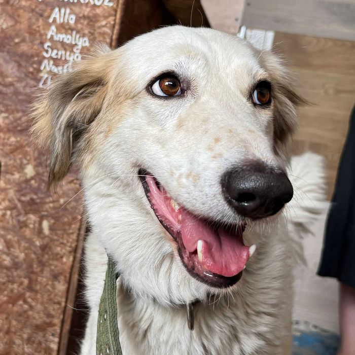 В самые ответственные руки