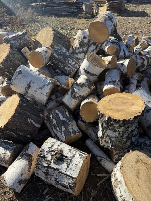 Дрова рубленные и в чурках береза