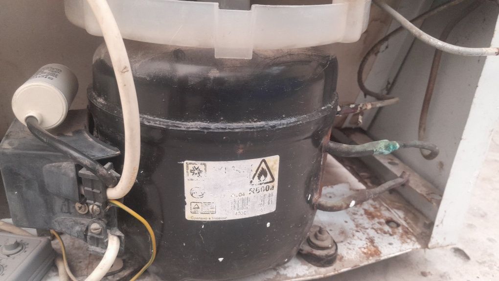 Xaladenlik Nord Rabochi Zavatskoy