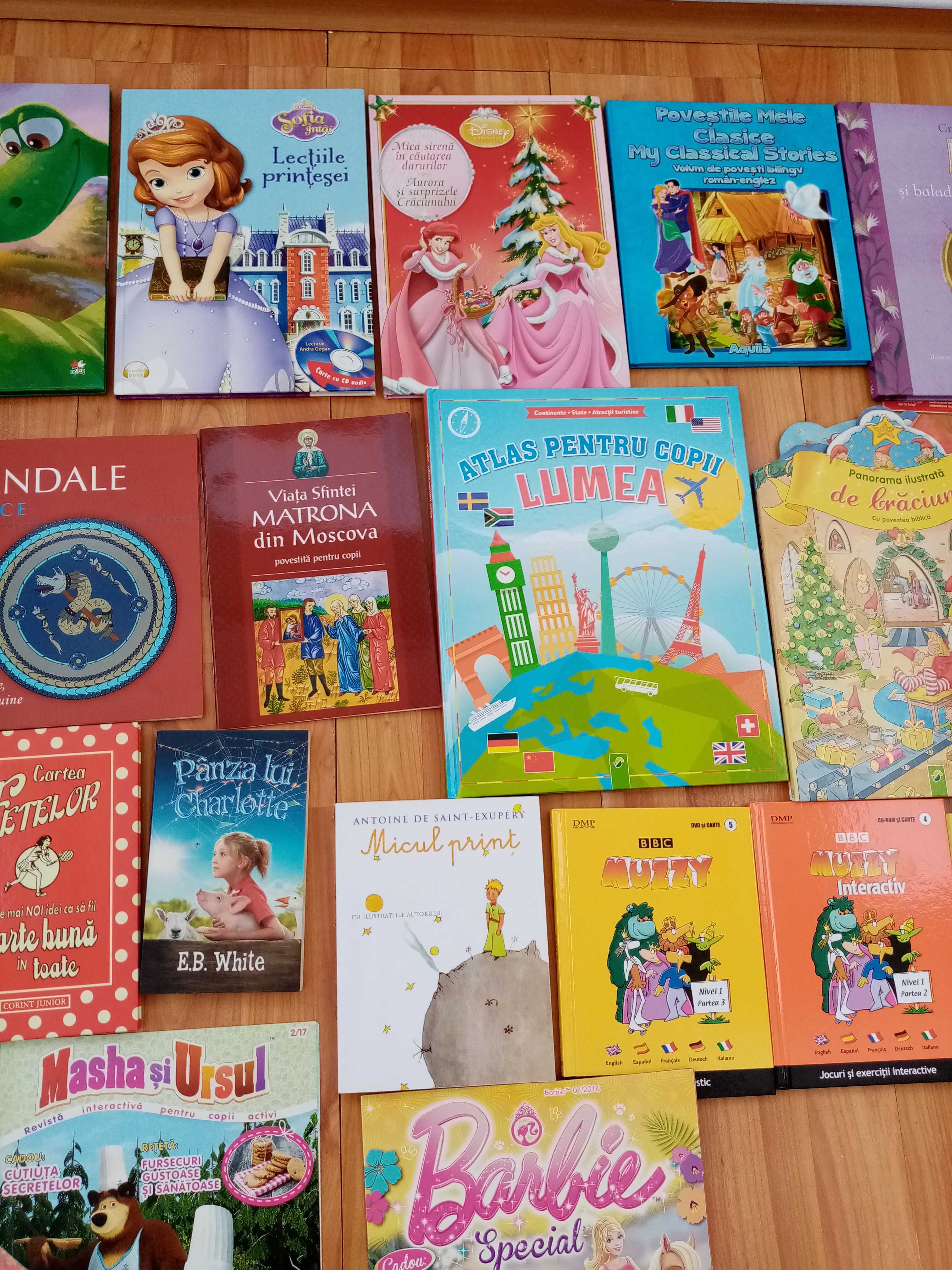 Cărți pentru copii (între 5 și 25 lei)