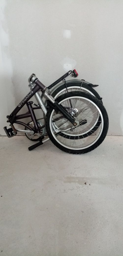 Pegasus bicicleta