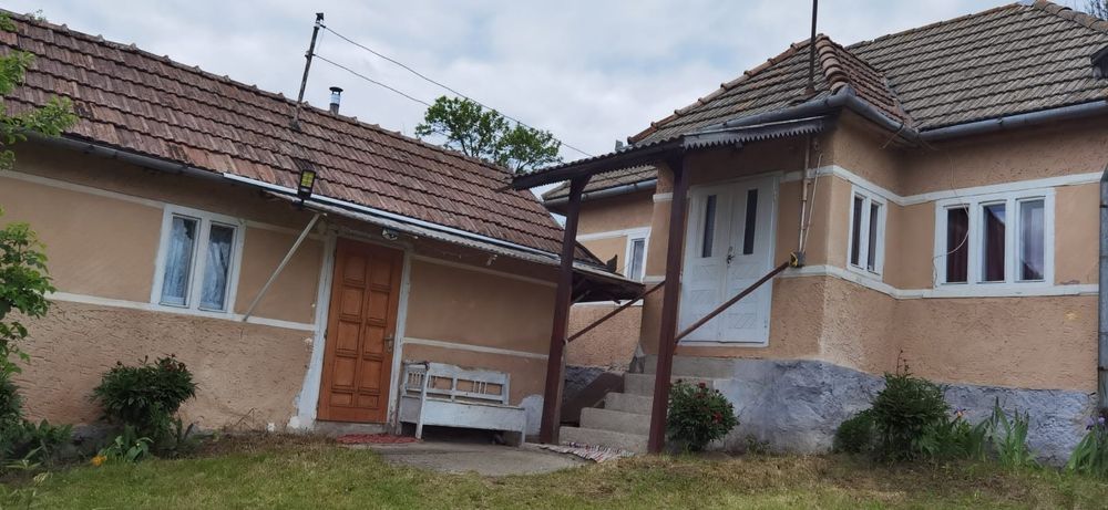 Casa de vanzare cu gradina si curte