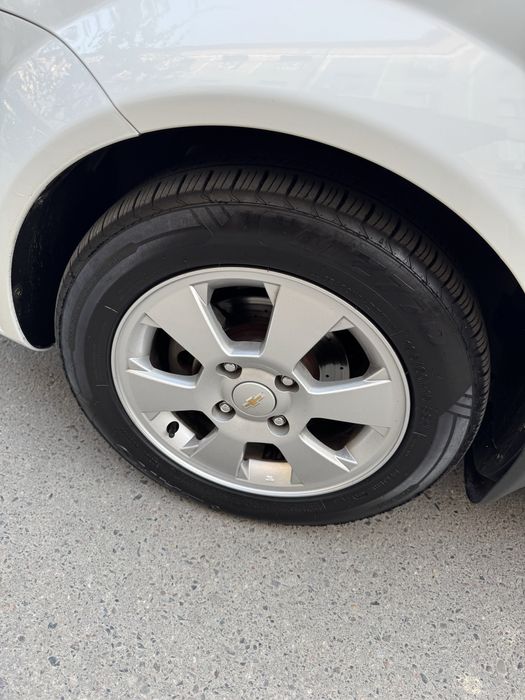 Gentra Polniy navarot