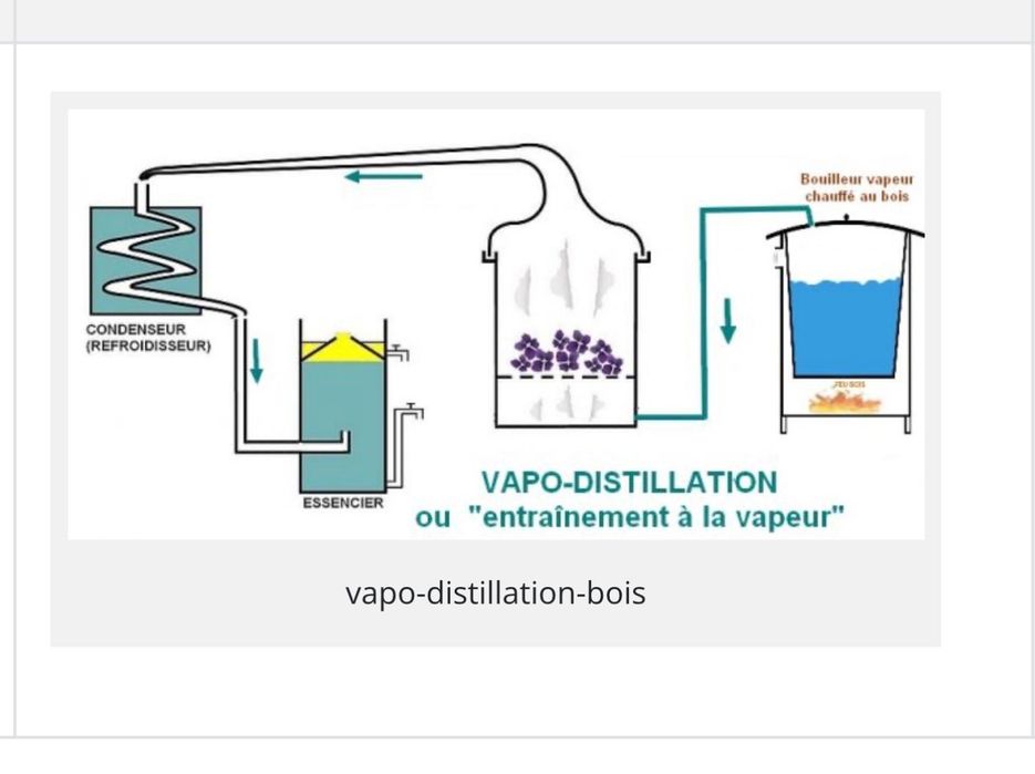 Instalație completa pentru distilat Lavanda.Livrare Oriunde