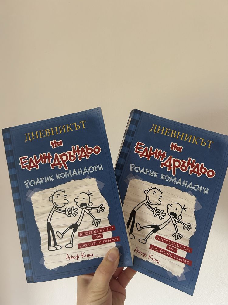 Дневникът на Един Дръндьо - 2