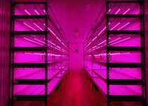 Светодиодное фито освещение для цветов и растений LED фонарь-планка