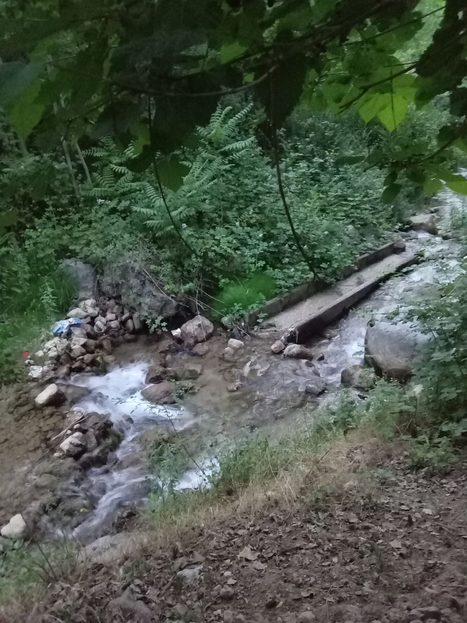 Тапчан сув буйда
